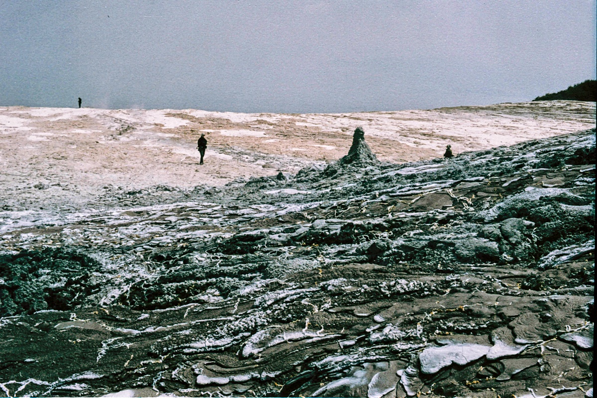 image31