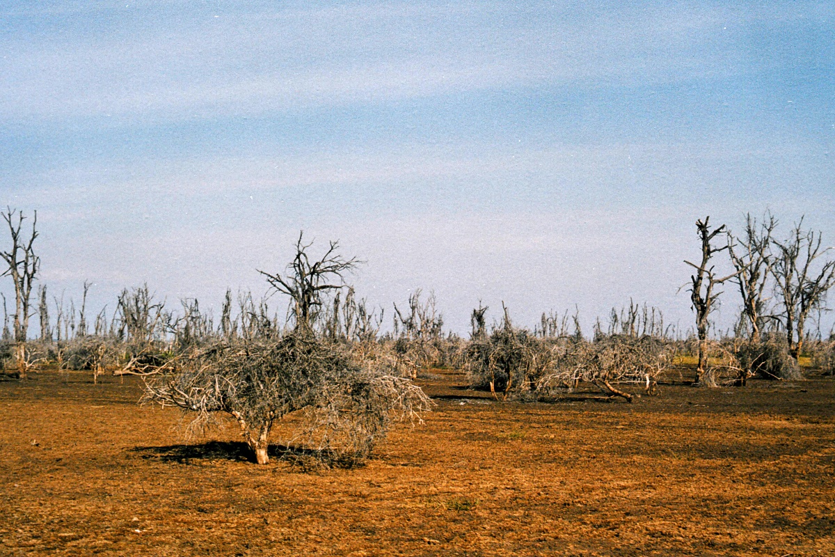 image4