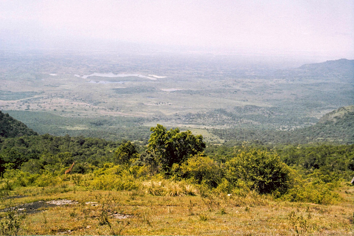 image80