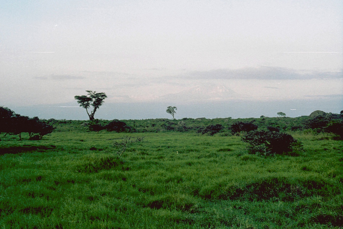 image81