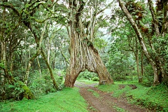 thumbnail104