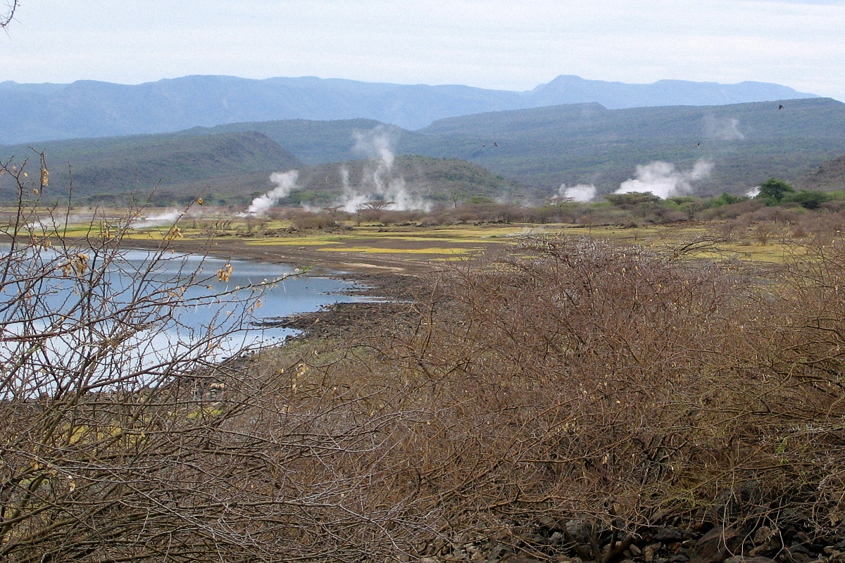 image15