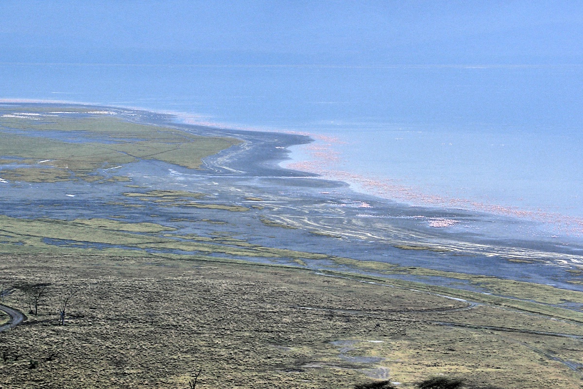 image47