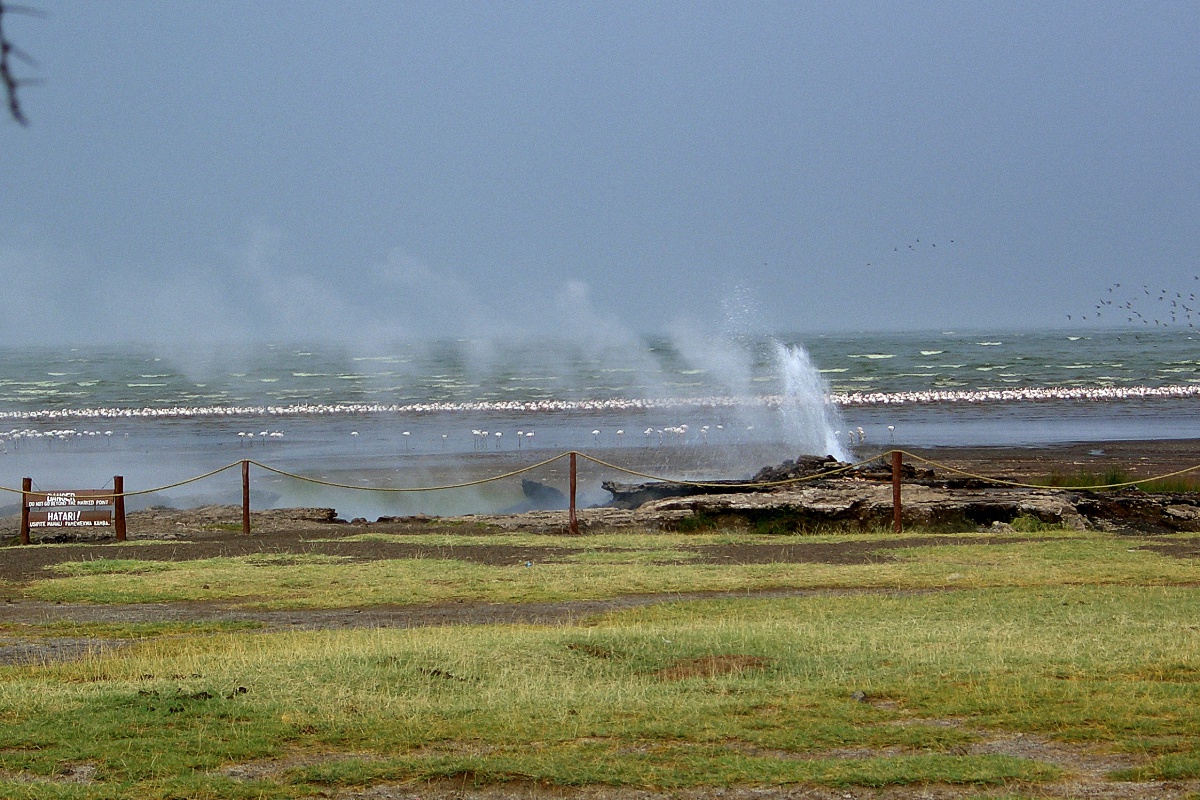 image6
