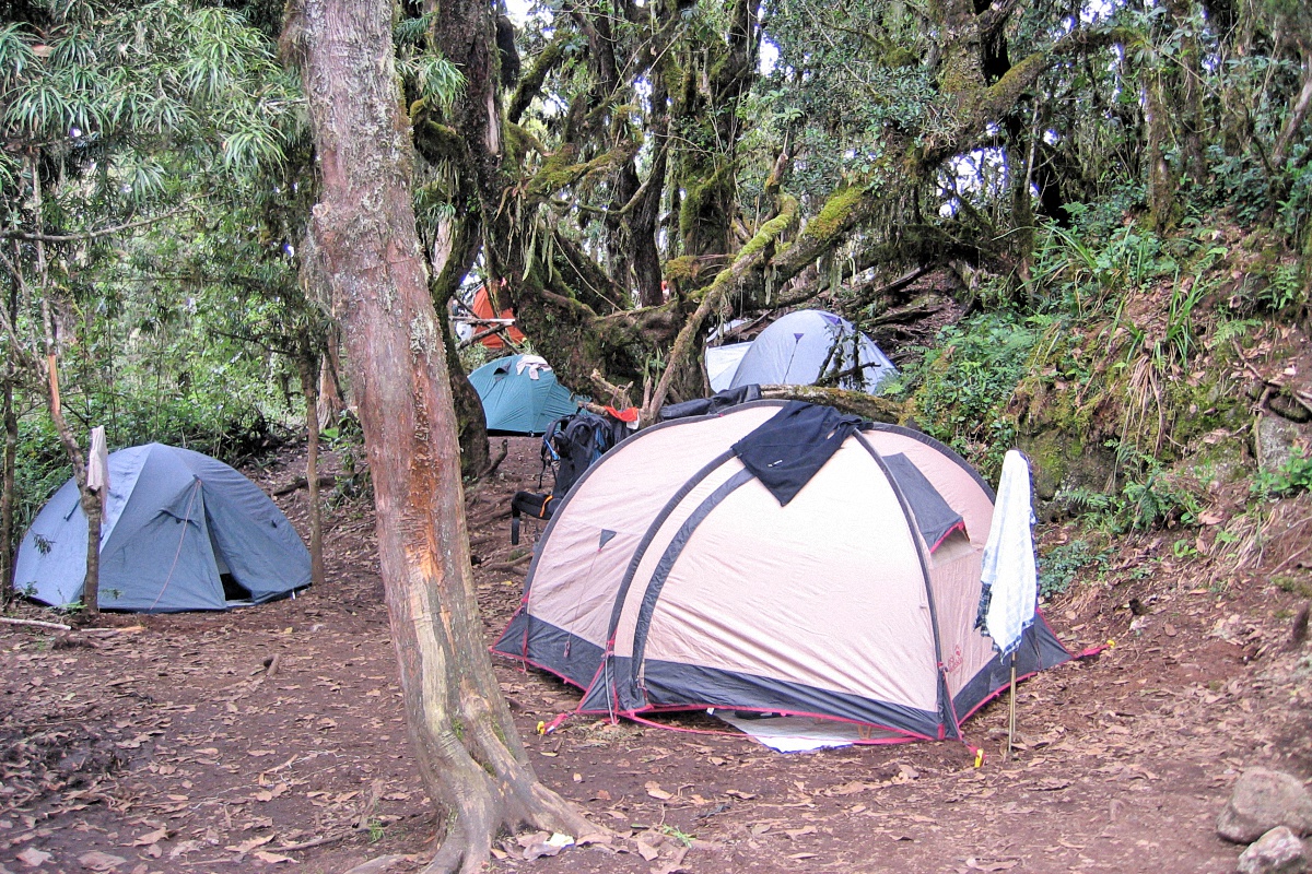 image19