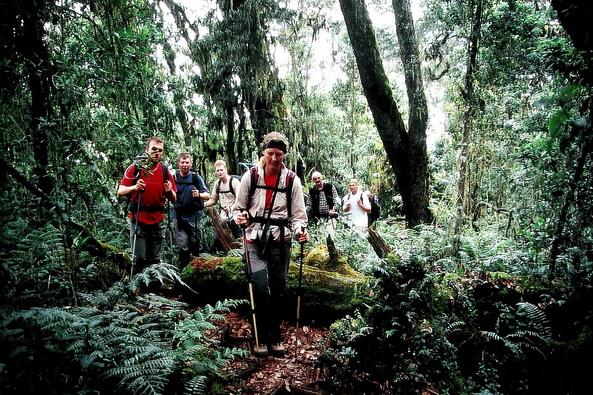 image8