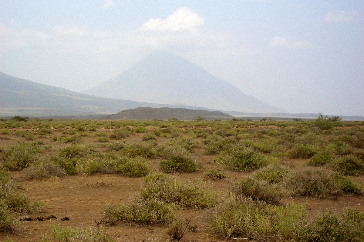 image14