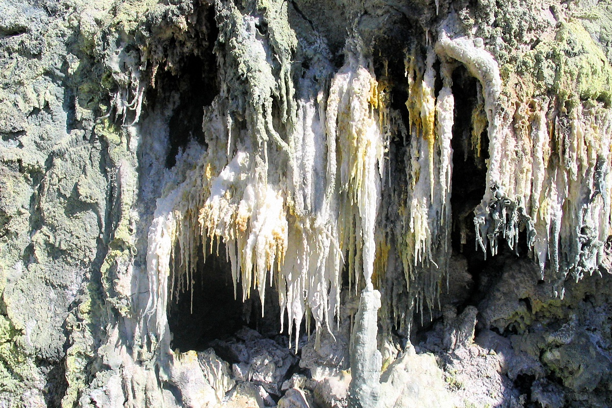 image66