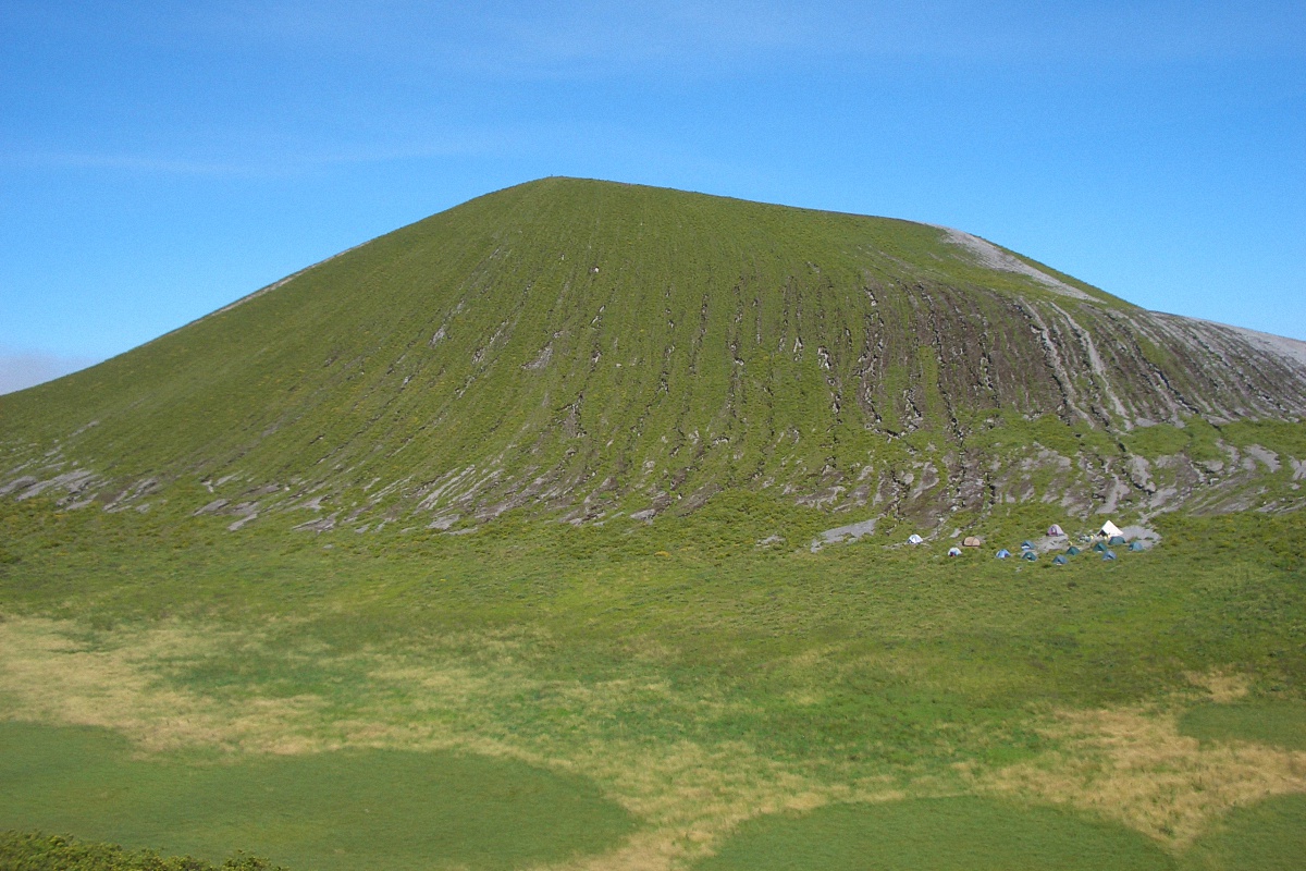 image82