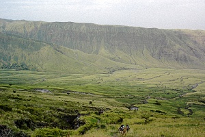 thumbnail25