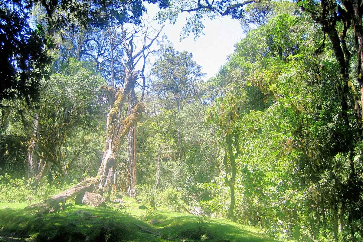 image10