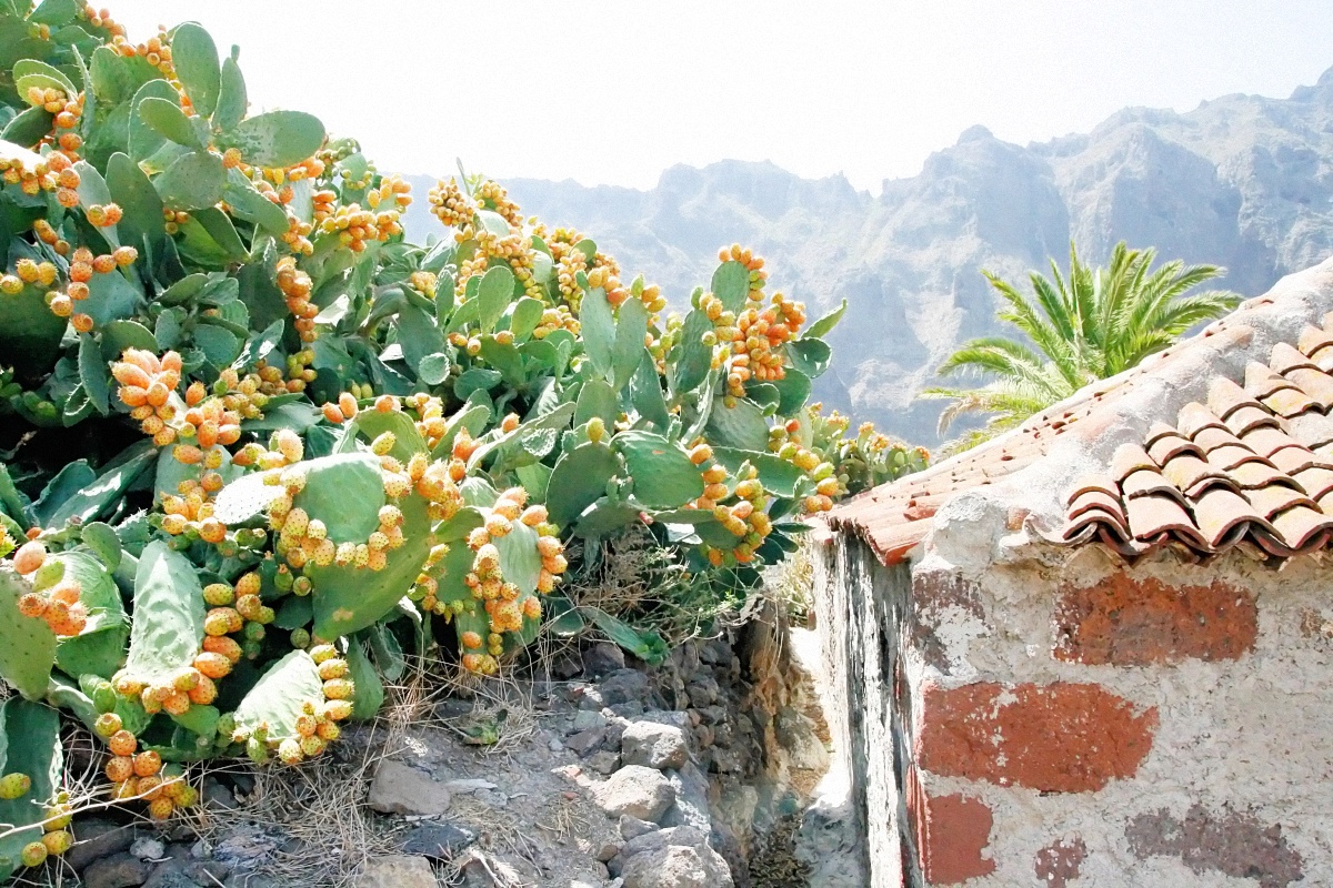 image14