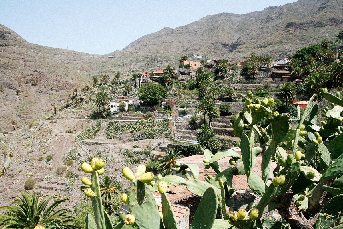 image16