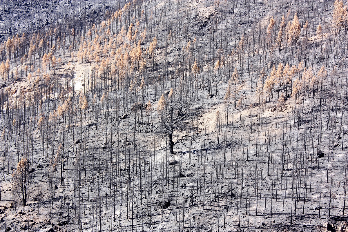 image59