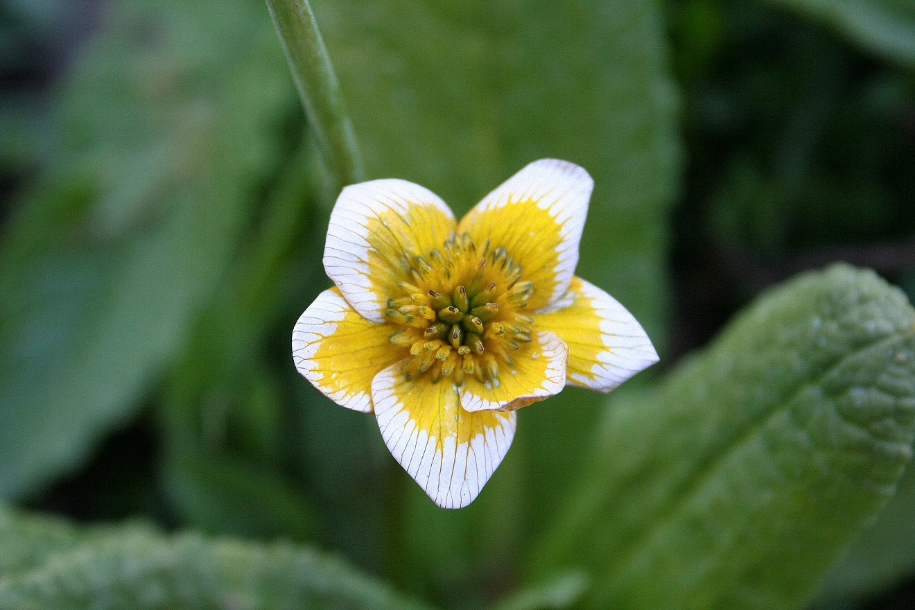 image177