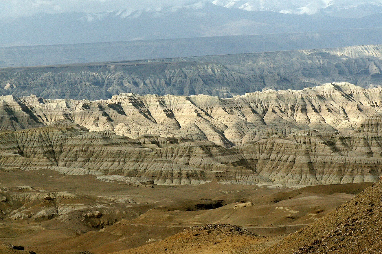 image24