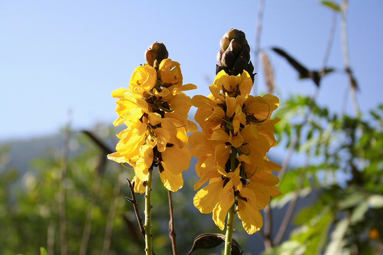 image15