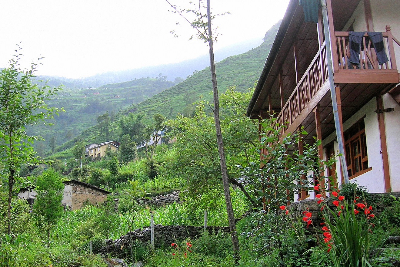 image4
