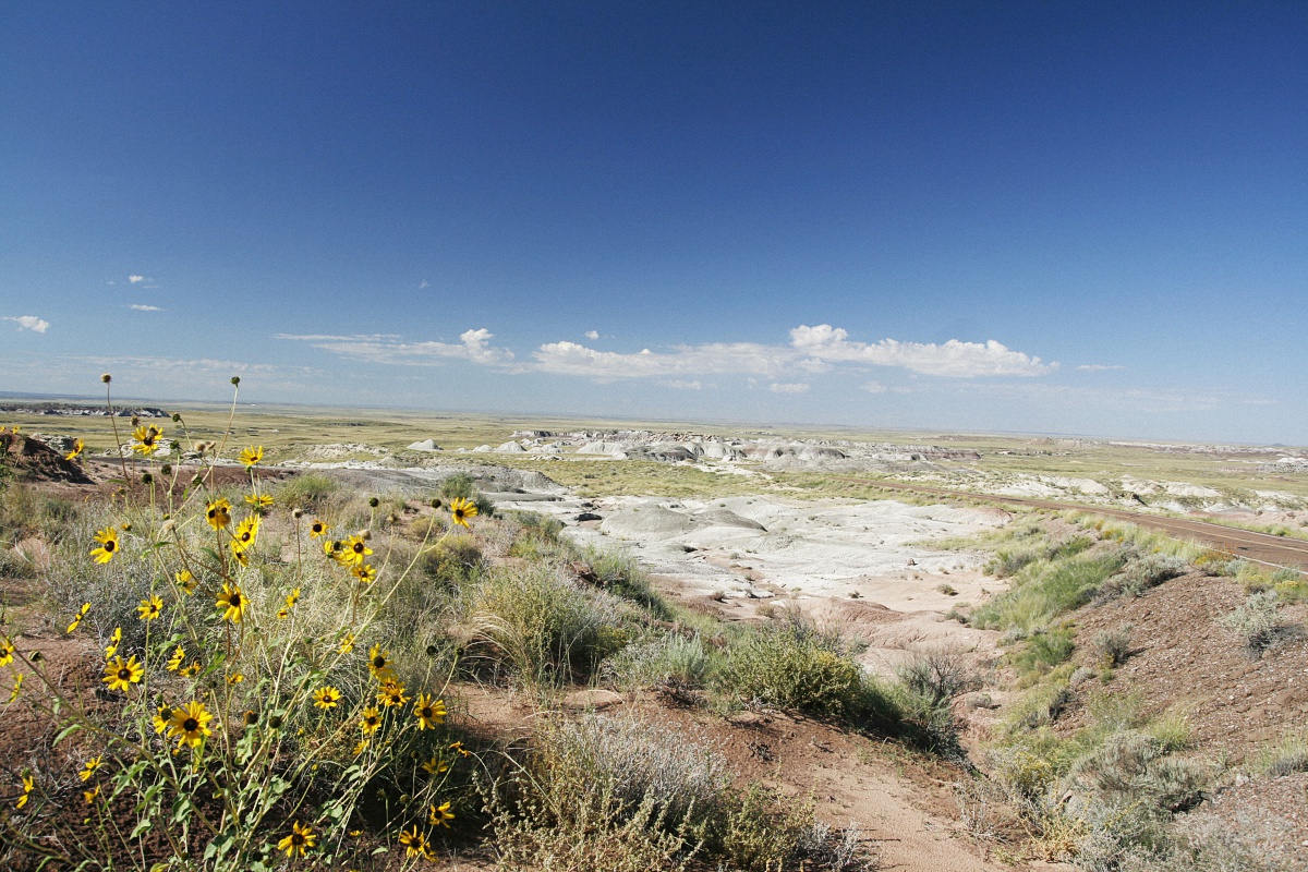 image33