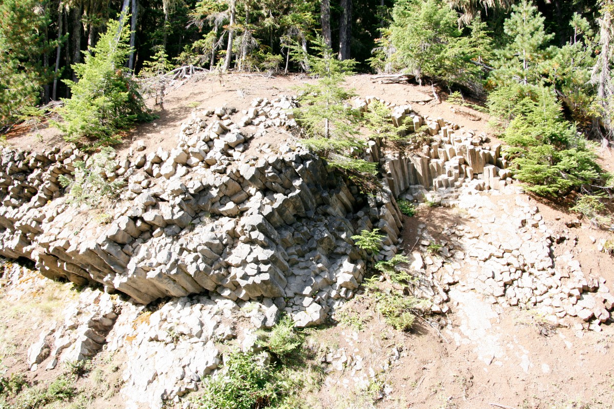 image41