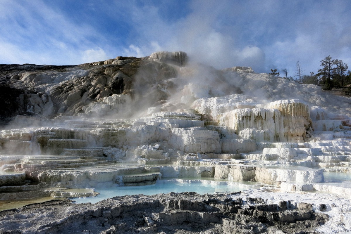 image38