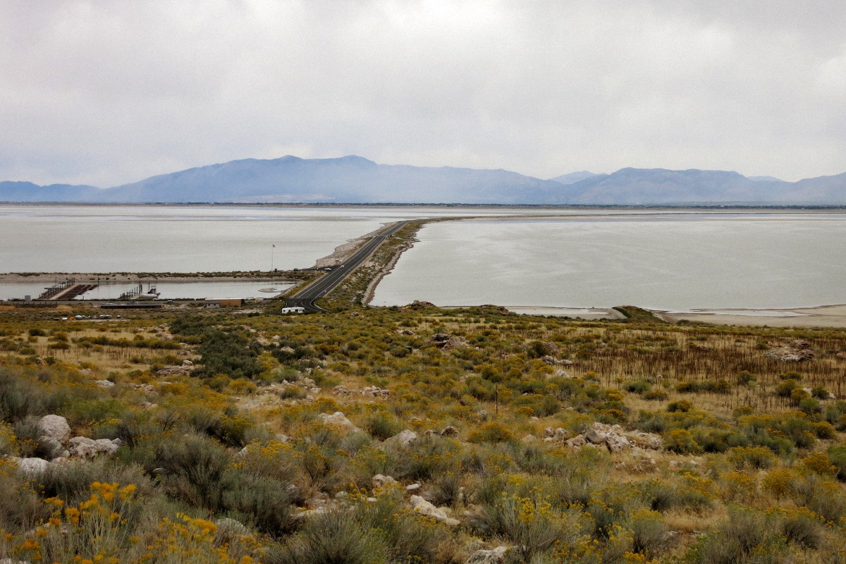 image11